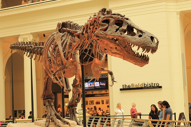La vida se abre camino: el descubrimiento de huesos de dinosaurio ofrece perspectivas prometedoras para implantes médicos
