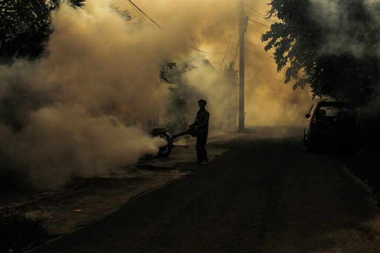 El calentamiento global provoca un aumento en los casos de dengue